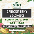 Africké trhy Olomouc