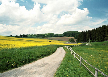 Konicko - kraj vděčící za své jméno koním