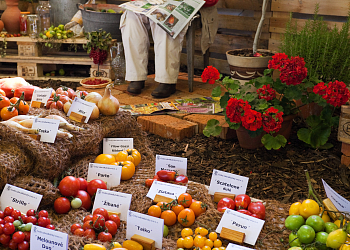 Flora Olomouc – Hortikomplex
