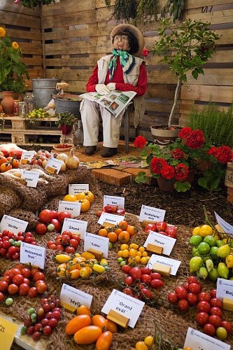 Flora Olomouc – Hortikomplex