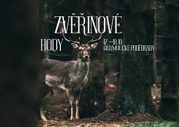 Zvěřinové hody na olomouckých Poděbradech!