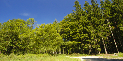 Nature Trail through Panské louky Nature Preserve